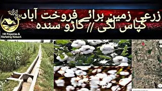 100 Acres Agriculture Land For Sale || Garho || Sindh