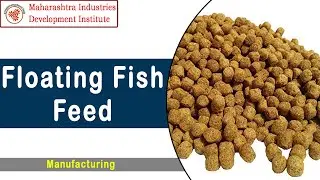 Floating Fish Feed Manufacturing Business