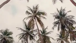 Skepta x WizKid - Energy (Stay Far Away) 432 Hz
