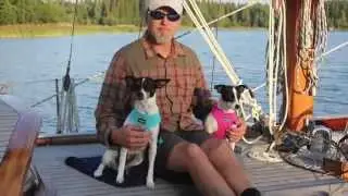 Sailing Ottiliana: We have no rats on board Ottiliana!