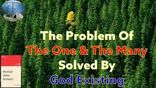 The Problem Of The One & The Many Solved By God Existing