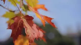 Fall at Colgate