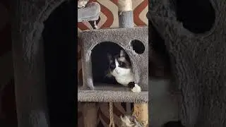 pls don't scroll and Watch my video
