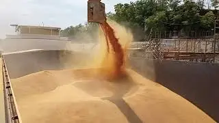 Dry cargo life. Сухогрузная жизнь.