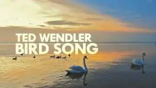 Ted Wendler - Birdsong