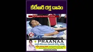 కేటీఆర్ రక్త దానం | KTR Blood Donation | V6 News