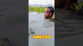 Fishing Fish in Odisha River Using Big Circle Net #Shorts