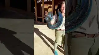 Rainbow Snake