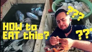 HIDDEN SEAFOOD MARKET in BALI (How do you eat this?)