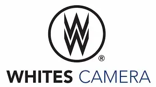 Whites, Camera, Action!