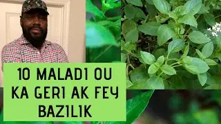 Fey BAZILIK ka geri 10 maladi ke ou pat janm panse 
/ Yon Ti Konsey