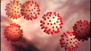 What is Coronavirus and is it in Utah?