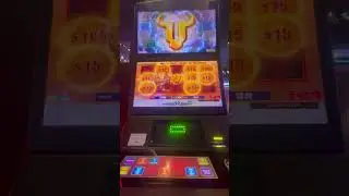 Absolute Aussie Classic - Guess the Legendary Pokie! 🎰💫  #bullrush #slots #pokies