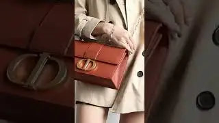 30 montaigne Brown bag Dior Bag Recommendation #dior #montaigne