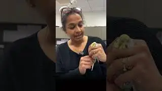Seed Only Diet Is Dangerous - The Exotics Vet