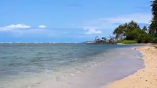 Sunset Stroll: A Virtual Beachside Walk