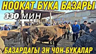 НООКАТ БУКА БАЗАРЫ БАЗАРДАГЫ ЭН ЧОН БУКА БОЮ 160 СМ ЧЫГАТ 330 МИН