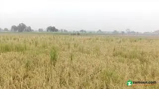 16 KANAL FARM HOUSE LAND FOR SALE AT BEDIAN ROAD LAHORE