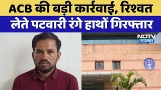 ACB Action: 50000 की रिश्वत लेते पटवारी रंगे हाथों गिरफ्तार | Top News | Pali | Rajasthan News
