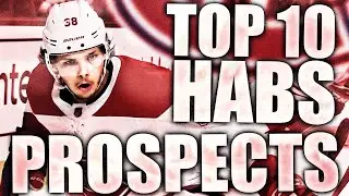 TOP 10 MONTREAL CANADIENS PROSPECTS FROM 5 YEARS AGO (Habs Prospects - NHL 2020 Review/Reflection)
