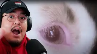 1ST LISTEN REACTION Joji - Die For You
