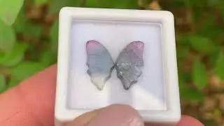 Turmalina Bicolor Placa Par Borboleta 3,04ct | 13,17x7,00mm