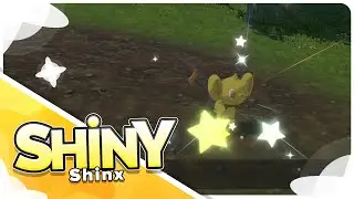 [Live] Shiny Shinx in Legends Arceus Wild Encounter!