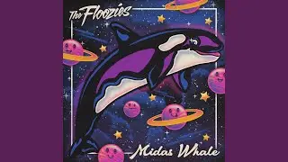 Midas Whale