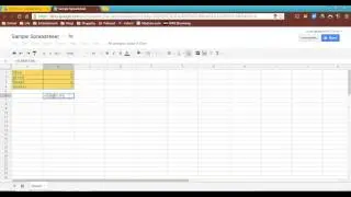 Google Spreadsheets Basics