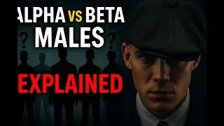 sigma and alpha Men
