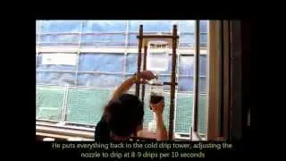 Black Coffee Revolution - Cold Drip with Campos' David Ruslie