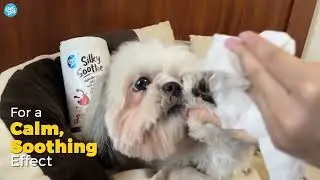 Captain Zack's Silky Soothe Hypoallergenic Wet Wipes