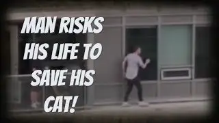 Man Risks His Life To Rescue Cat! 😸🐱&zwj;👤