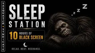 SLEEP STATION | Bigfoot Sounds with Black Screen | Sasquatch Syndicate