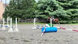 17. Grid/Jumping lesson at home from August 