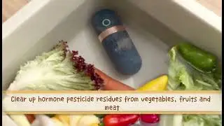 Portable Fruit Vegetable Purifier Sterilizer | Nestify