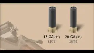 Cal.12 Vs Cal.20
