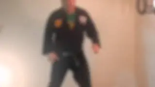 Firebird Dojo