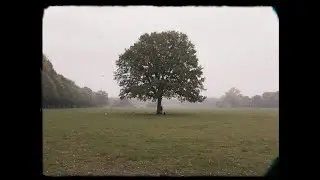 Lonely Nostalgia