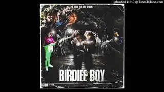 lil tony x lil birdie x hariroc type beat 