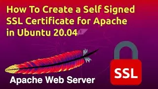 Как создать самозаверяющий SSL-сертификат для Apache в Ubuntu 20.04