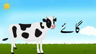 ANIMAL NAMES in Urdu and Hindi | learn all animal names with pictures and sounds #kidscamp #learning