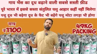 गाय भैंस का दूध बढ़ाने वाली फ़ीड (feed formula for cow buffalo) gay bhains ka dudh badhane wali feed