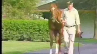 Secretariat -An American Racing Legend