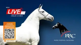 Live de Criação - Haras RRC