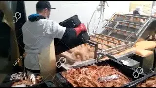 Wholesale Shrimp Washer Machine Supplier