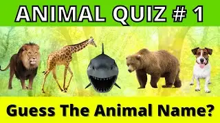 ANIMAL QUIZ - 1 | Guess The Animal Name | Animal Game | ANIMAL TRIVIA 1 | Can You Guess The Animal