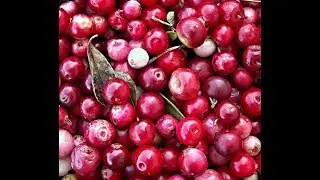 Cranberries 101-Foods That Go With Cranberries