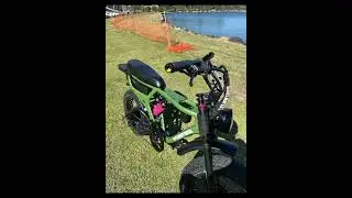 FR555 - Olive #ebike #fattyre #flightrisk