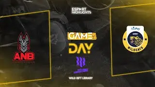 WEC Turkey - Anubis Gaming vs Istanbul Wild Cats